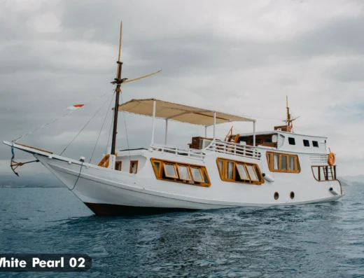 PRIVATE TOUR KOMODO — Boat in Komodo National Park, Labuan Bajo