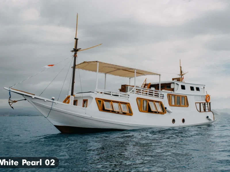 PRIVATE TOUR KOMODO — Boat in Komodo National Park, Labuan Bajo