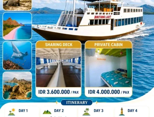 Speedboat untuk 8 orang, trip harian Nusa Penidakap — ラブアンバジョ市街, ラブアンバジョのボート