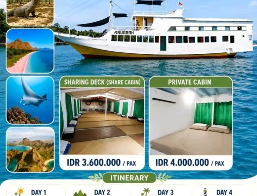 Speedboat untuk 8 orang, trip harian Nusa Penidakap — ラブアンバジョ市街, ラブアンバジョのボート