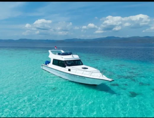Tagesausflug mit dem Schnellboot ELISA CRYSTAL – Boot in Labuan Bajo (Stadt), Labuan Bajo