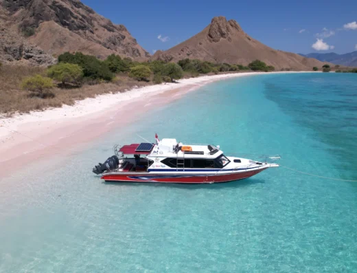 Tagesausflug mit dem Schnellboot WAVE RIDER – Boot in Labuan Bajo (Stadt), Labuan Bajo