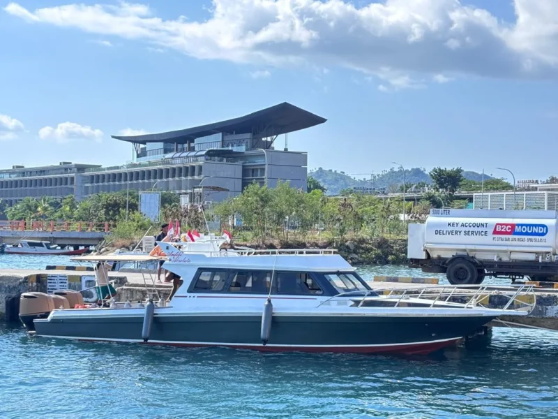 One Day Trip SAILING KOMODO with Amfibi Absolute Speedboat — Boat in Labuan Bajo Town, Labuan Bajo