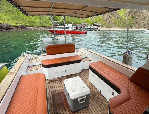 Tagesausflug Segeltour Komodo mit dem Schnellboot Amfibi 01 – Boot in Labuan Bajo (Stadt), Labuan Bajo