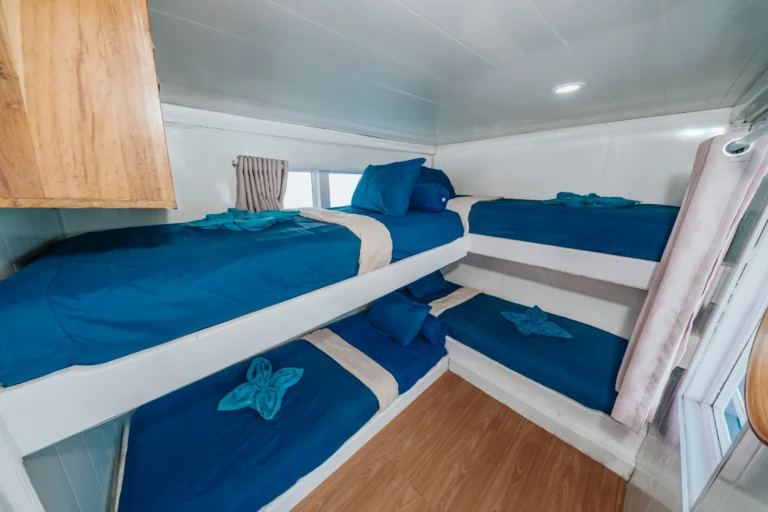 Sailing Komodo 3D2N with LA DAYANA Phinisi 4 Cabin — Boat in Labuan Bajo Town, Labuan Bajo