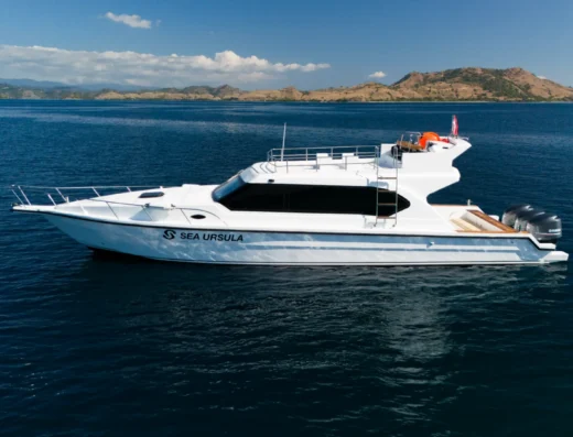 One Day Trip Sailing Komodo with SEA URSULA Speedboat — Boat in Labuan Bajo Town, Labuan Bajo