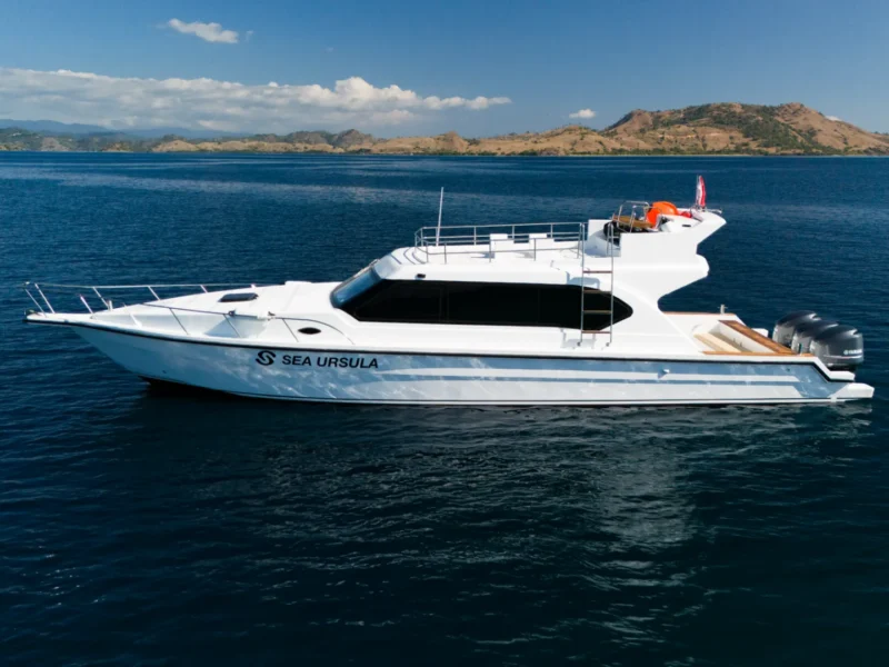 Tagesausflug Segeltour Komodo mit dem Schnellboot SEA URSULA – Boot in Labuan Bajo (Stadt), Labuan Bajo