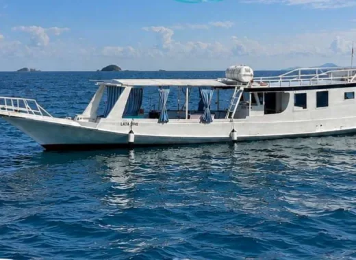 One Day trip Sailing Komodo with ATA One Premium Open Deck — Boat in Labuan Bajo Town, Labuan Bajo