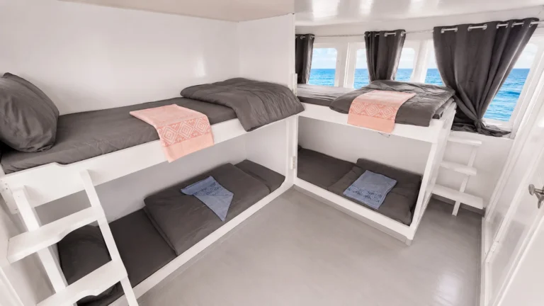 Sailing Komodo 3D2N with QUEEN ELYONA Semi Phinisi 4 Cabin — Boat in Labuan Bajo Town, Labuan Bajo