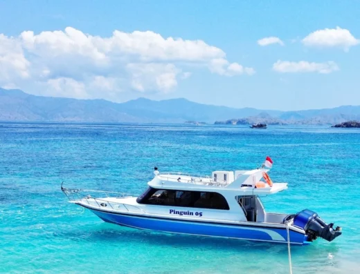 Tagesausflug mit Pinguin 5 – Boot in Labuan Bajo (Stadt), Labuan Bajo