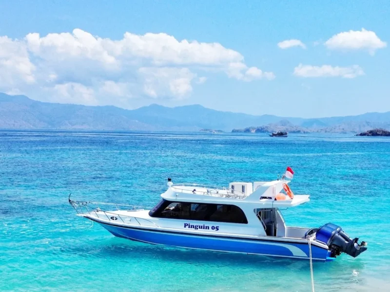 One Day Trip with Pinguin 5 — Boat in Labuan Bajo Town, Labuan Bajo