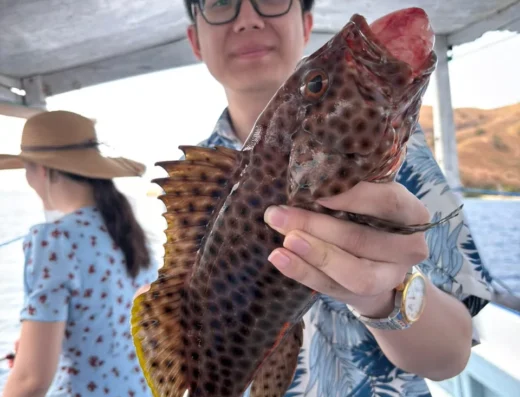 Charter Fishing Trip & Snorkeling — Boat in Komodo National Park, Labuan Bajo