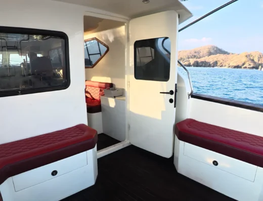 Ganztägige offene Gruppentour Komodo – Boot in Komodo-Nationalpark, Labuan Bajo