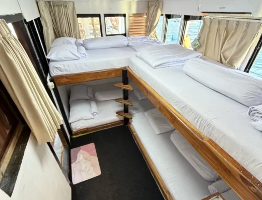Segeltour Komodo 3 Tage / 2 Nächte mit DARA KOMODO Phinisi, 4 Kabinen – Boot in Labuan Bajo (Stadt), Labuan Bajo