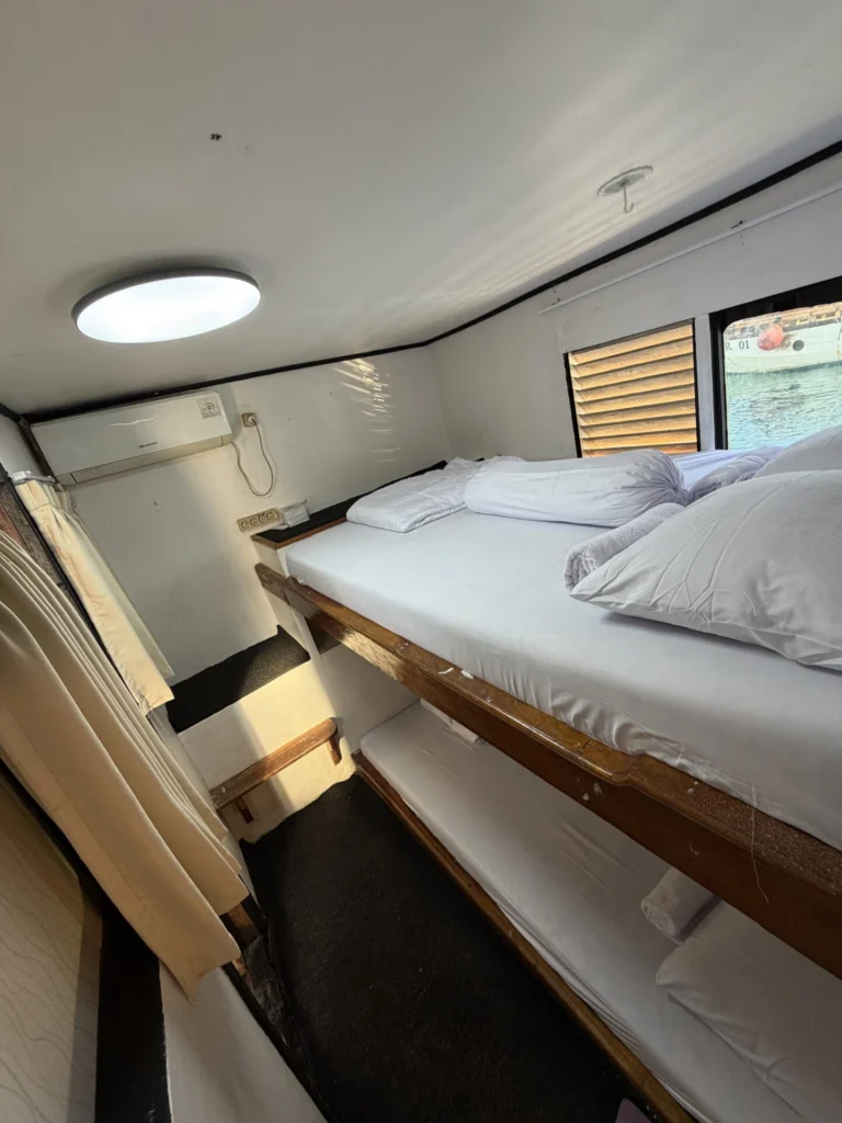 Segeltour Komodo 3 Tage / 2 Nächte mit DARA KOMODO Phinisi, 4 Kabinen – Boot in Labuan Bajo (Stadt), Labuan Bajo
