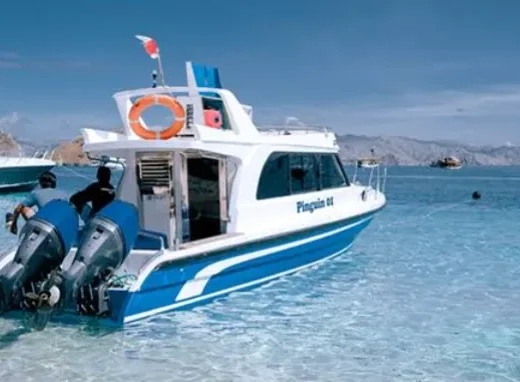 Tagesausflug mit Pinguin 5 – Boot in Labuan Bajo (Stadt), Labuan Bajo