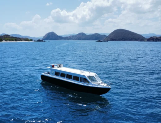 Inselhopping Komodo Tagesausflug – Boot in Komodo-Nationalpark, Labuan Bajo