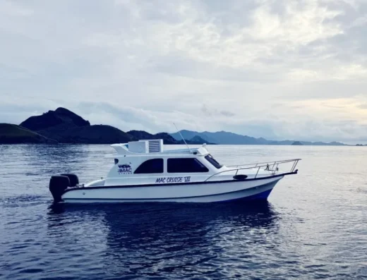 Speedboat 8 orang, Satu Hari 6 Destinasi — Boat in Komodo National Park, Labuan Bajo