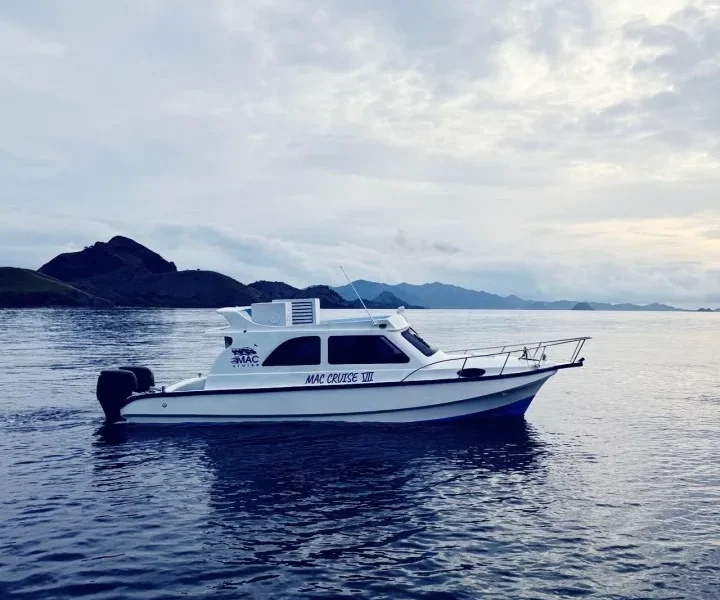 Speedboat 8 orang, Satu Hari 6 Destinasi – Boot in Komodo-Nationalpark, Labuan Bajo
